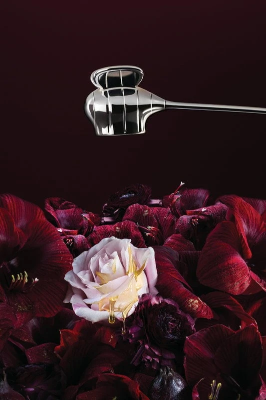 Alessi Kerzenlöscher Bzzz 7 Alessi Kerzenlöscher Bzzz – Bild 5