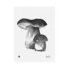 Porcini Poster, 30 X 40 Cm 2 Porcini Poster, 30 X 40 Cm -Wohnaccessoires Angebote 113TeemuJarvi iso19 TH