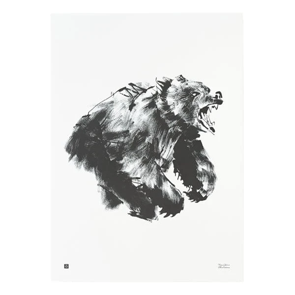Poster Bear, 50 X 70 Cm 3 Poster Bear, 50 X 70 Cm