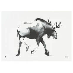 Poster Elk, 70 X 50 Cm