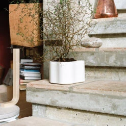 Artek Übertopf Riihitie B, Klein, Weiß Glänzend -Wohnaccessoires Angebote 399Artek iso FV