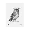 Poster Owl, 30 X 40 Cm -Wohnaccessoires Angebote 46 TeemuJarviIllustrations 2018 TH