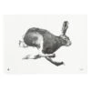 Hare Poster, 70 X 50 Cm 2 Hare Poster, 70 X 50 Cm -Wohnaccessoires Angebote 9 TeemuJarvi