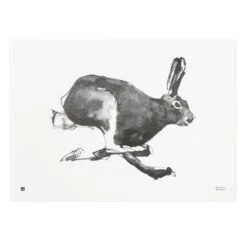 Hare Poster, 70 X 50 Cm