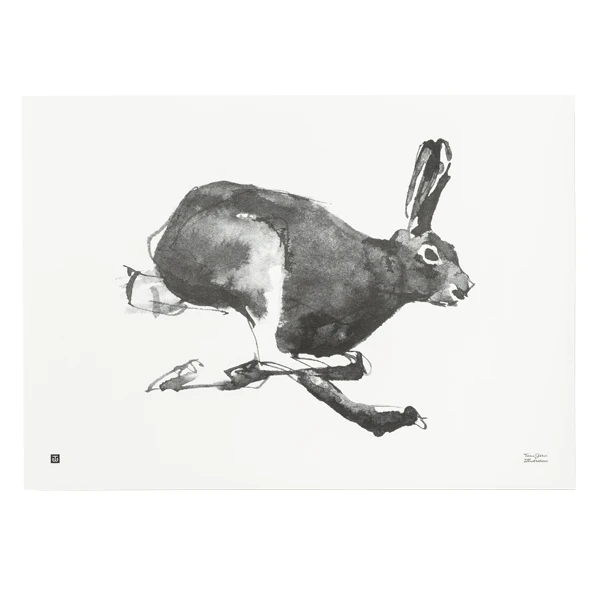 Hare Poster, 70 X 50 Cm 3 Hare Poster, 70 X 50 Cm