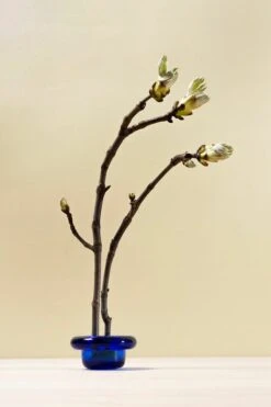 Teelichthalter Sirkel, Kobaltblau -Wohnaccessoires Angebote AG7Xp5Sg