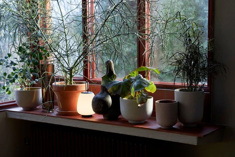 &Tradition Collect SC70 Pflanzgefäß, 15 X 18 Cm, Ocker – Bild 2