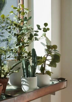 &Tradition Collect SC70 Blumentopf, 15 x 18 cm, Milchweiß -Wohnaccessoires Angebote ATD Retail 2022 Collect Planter SC69 SC72