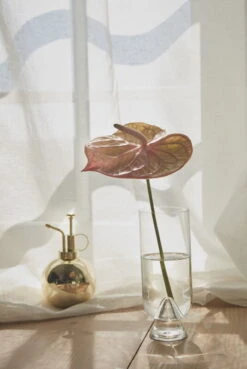 AYTM Globe Blumensprüher, Goldfarben -Wohnaccessoires Angebote AYTM D2 08 269