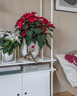 By Lassen Blumentopf Kubus 14, Weiß 13 By Lassen Blumentopf Kubus 14, Weiß -Wohnaccessoires Angebote Christmas Mood 2