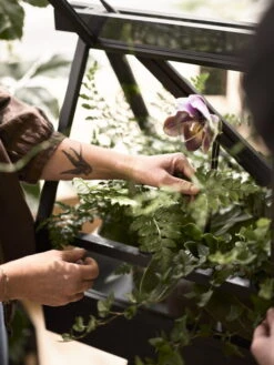 Design House Stockholm Greenhouse, Esche -Wohnaccessoires Angebote DHS image7 2642 Greenhouse Lifestyle