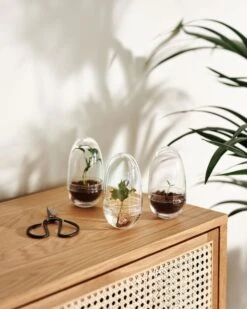 Design House Stockholm Grow Mini-Gewächshaus, S -Wohnaccessoires Angebote DHS lifestyleimage 13