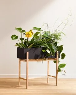 Design House Stockholm Botanic Pflanzenständer -Wohnaccessoires Angebote DHS lifestyleimage 22