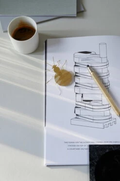 Mitbewohner Ornament, Bettwanze, Messing -Wohnaccessoires Angebote Flatmate Bedbug