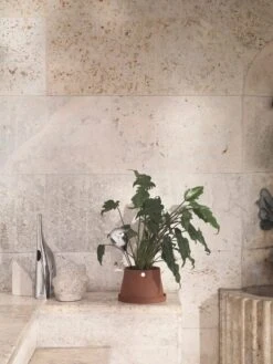 Georg Jensen Terra Bewässerungskugel, Polierter Stahl -Wohnaccessoires Angebote GJ SS20 HOME TERRA 06 1