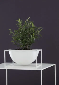 By Lassen Schale Kubus Centrepiece, Groß, Weiß -Wohnaccessoires Angebote IMGL6752