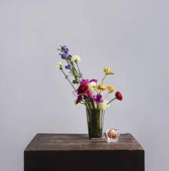 Iittala Schale Aalto 75 Mm, Klar -Wohnaccessoires Angebote Iittala 2018 Aalto mossgreen clear