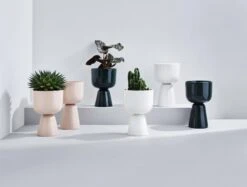 Iittala Nappula Blumentopf, 260 X 155 Mm, Weiß 12 Iittala Nappula Blumentopf, 260 X 155 Mm, Weiß -Wohnaccessoires Angebote Iittala 2020 Nappula group 01 1