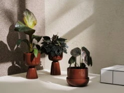 Iittala Nappula Blumentopf Mit Untersetzer, 170 × 130 mm, Braun -Wohnaccessoires Angebote Iittala 2021 Nappula 01