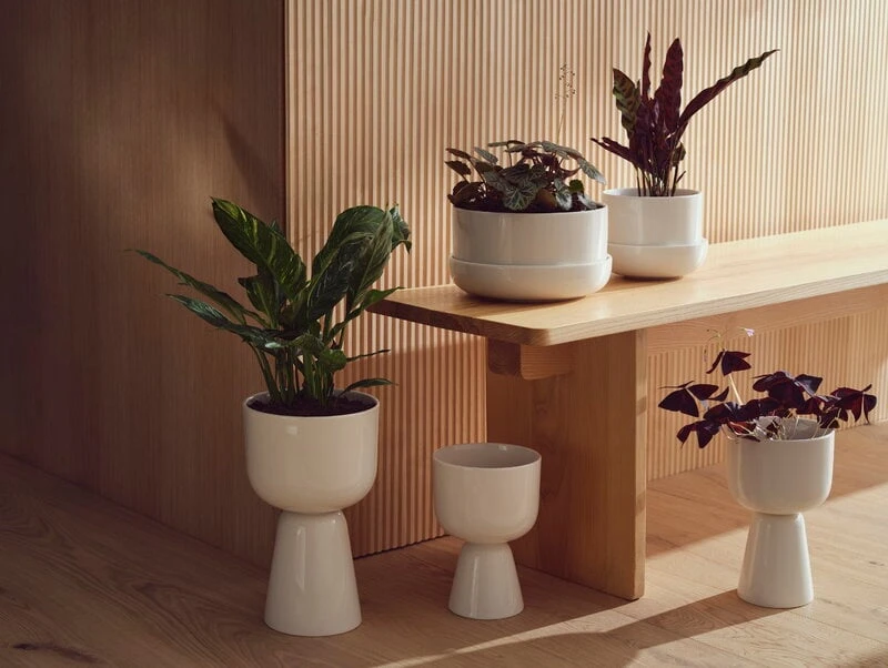 Iittala Nappula Blumentopf, 260 X 155 Mm, Weiß 5 Iittala Nappula Blumentopf, 260 X 155 Mm, Weiß – Bild 3