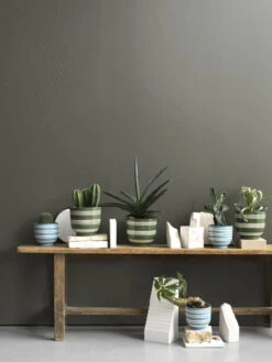 Kähler Omaggio Nuovo Blumentopf, 15 Cm, Grün -Wohnaccessoires Angebote KAH 690161 690165 Omaggio Nouvo Six flowerpots w plants in atalier