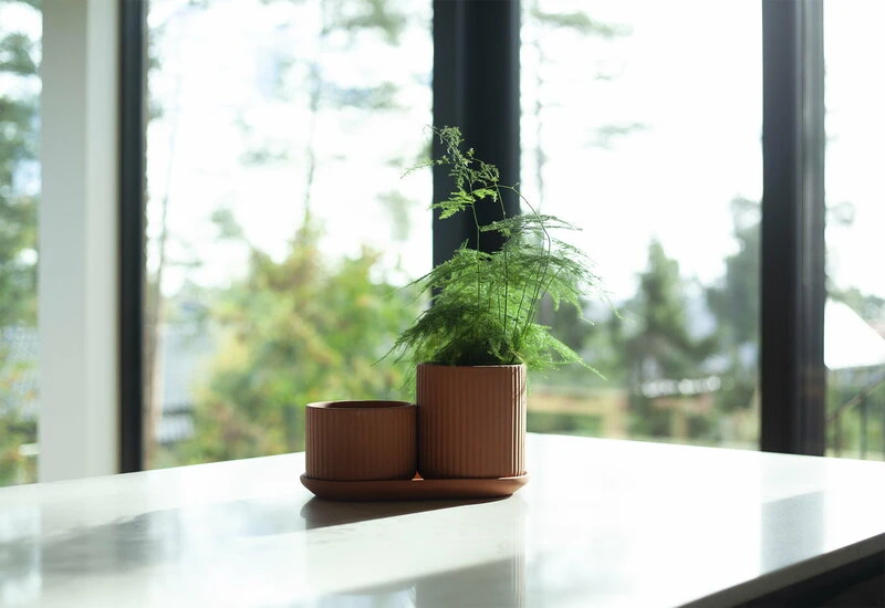 Topf, Niedrig, Terrakotta 4 Topf, Niedrig, Terrakotta – Bild 2