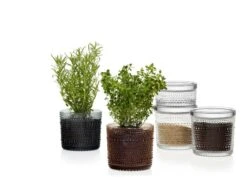 Iittala Kastehelmi Vorratsglas, 116 X 57 Mm, Transparent -Wohnaccessoires Angebote Kastehelmijargreydesertcleargroup 2 1