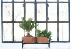 Topf, Niedrig, Terrakotta 8 Topf, Niedrig, Terrakotta -Wohnaccessoires Angebote KlorofyllbyAndersenVoll doublelowbaseterracotta