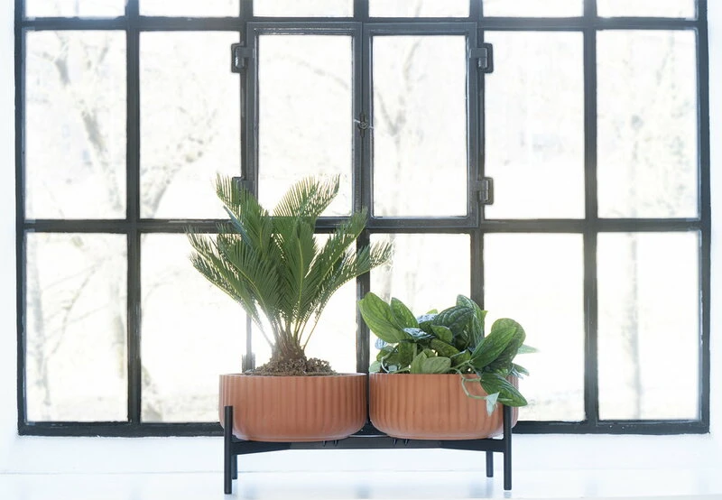 Topf, Niedrig, Terrakotta 5 Topf, Niedrig, Terrakotta – Bild 3