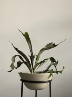 Menu Daiza Blumentopf, 45 X 35 Cm, Elfenbeinfarben 12 Menu Daiza Blumentopf, 45 X 35 Cm, Elfenbeinfarben -Wohnaccessoires Angebote MENU Daiza Planter 13