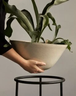 Menu Daiza Blumentopf, 45 X 35 Cm, Elfenbeinfarben 10 Menu Daiza Blumentopf, 45 X 35 Cm, Elfenbeinfarben -Wohnaccessoires Angebote MENU Daiza Planter 14