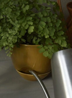 Menu Hydrous Blumentopf, 12 cm, Ockergelb 10 Menu Hydrous Blumentopf, 12 cm, Ockergelb -Wohnaccessoires Angebote MENU Hydrous Planter Hydrous Watering Can 5