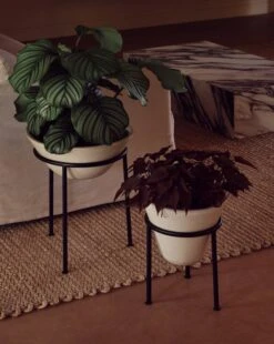 Menu Daiza Blumentopf, 35 x 25 cm, Elfenbeinfarben 11 Menu Daiza Blumentopf, 35 x 25 cm, Elfenbeinfarben -Wohnaccessoires Angebote MENU LS Daiza Planters