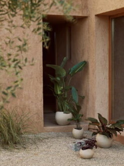 Menu Plantas Blumentopf, 32 cm, Elfenbeinfarben 13 Menu Plantas Blumentopf, 32 cm, Elfenbeinfarben -Wohnaccessoires Angebote MENU LS Plantas Planters