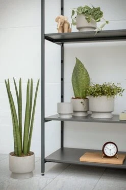 Rosendahl Blumentopf, 15 cm, Sand -Wohnaccessoires Angebote ROS 206 20632 RO Flowerpots in livinroom 01 300dpi 1