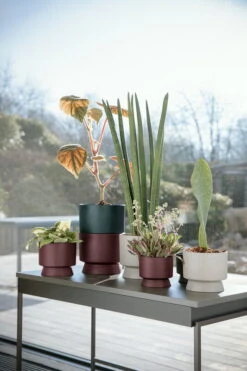 Rosendahl Blumentopf, 19 cm, Sand -Wohnaccessoires Angebote ROS 20620 20642 RO flowerpots mixed colours 02 300dpi