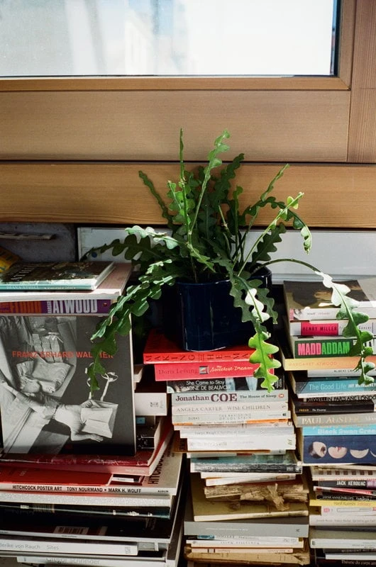 Artek Übertopf Riihitie B, Klein, Blau Glänzend 8 Artek Übertopf Riihitie B, Klein, Blau Glänzend – Bild 6