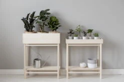 Taimi Pflanzenständer Mit Niedrigem Kasten 10 Taimi Pflanzenständer Mit Niedrigem Kasten -Wohnaccessoires Angebote TAIMI Plant Box Plant Tray