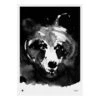 Mysterious Bear Poster, 50 X 70 Cm -Wohnaccessoires Angebote TJ6430065512899 Mysterious bear Poster 50x70cm Teemu Jarvi Illustrations EE