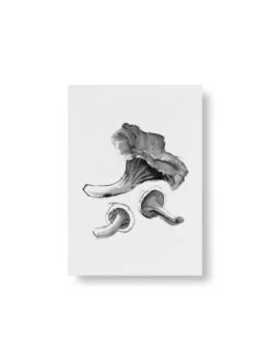 Wild Mushroom Miniposter-Set, 4 Stück -Wohnaccessoires Angebote TeemuJarviIllustrations Chanterelles mushroom