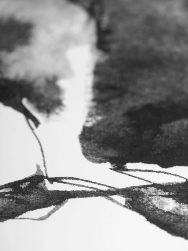 Hare Poster, 70 X 50 Cm 7 Hare Poster, 70 X 50 Cm – Bild 5