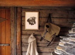 Poster Bear, 50 X 70 Cm 11 Poster Bear, 50 X 70 Cm -Wohnaccessoires Angebote Teemu Jarvi Illustrations BrownBear ArtPrintPaper