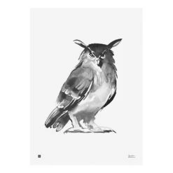 Poster Owl, 50 X 70 Cm