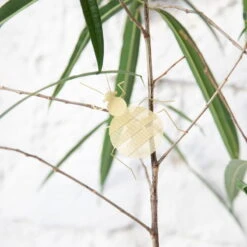 Mitbewohner Ornament, Bettwanze, Messing -Wohnaccessoires Angebote bedbug plant