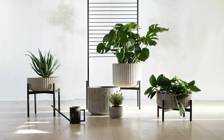 Klorofyll Pflanzgefäß Mit Ständer, Niedrig, Grau 6 Klorofyll Pflanzgefäß Mit Ständer, Niedrig, Grau – Bild 4