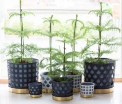 Klong Blumentopf Trio, Blau, Quadrat -Wohnaccessoires Angebote trio pots inspiration noresize